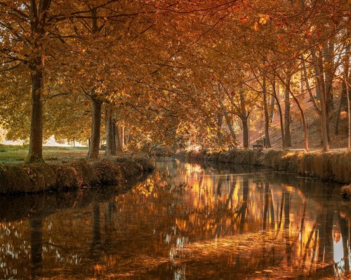 Persona relajada tomando un café de olla por la mañana en la Ciudad de México